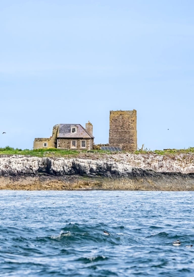 Berwick Farmers Market