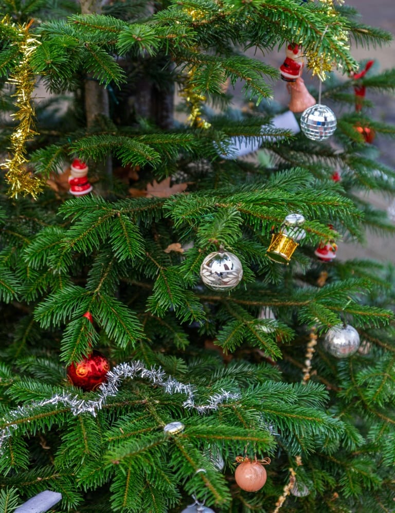 Historic Attractions in Berwick upon Tweed