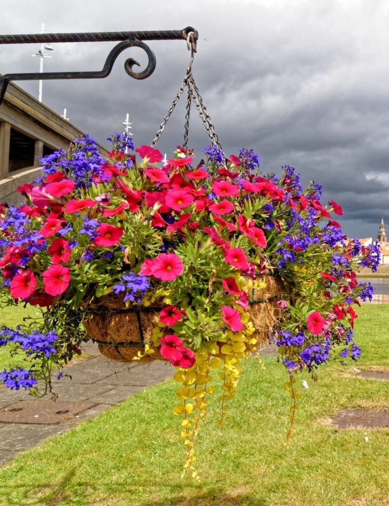 Berwick Farmers Market